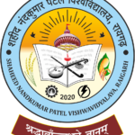 Shaheed Nandkumar Patel Vishwavidyalaya,Raigarh