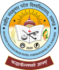 Shaheed Nand Kumar Patel Vishwavidyalaya, Raigarh